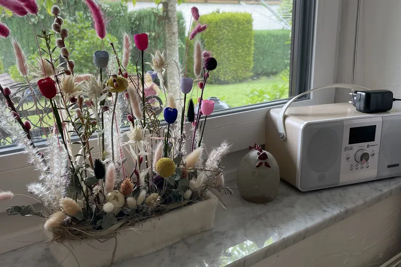 View from the window into the garden